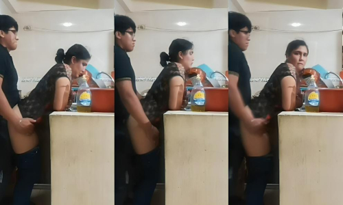 Maid Stand Fucking With Owner Son
